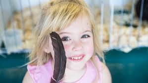 Cut-throat world at the Waikato Poultry & Pigeon Show