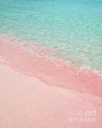 I wish the beaches i went to looked like that. Pink Sand Beach By Delphimages Photo Creations Pink Sand Beach Beach Artist Beach Background