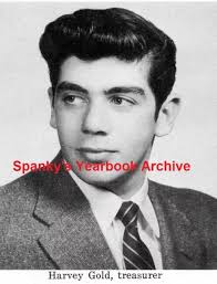 1974 LANSING MI High School Yearbook ~ Photos History Clubs Sports Dance  Seniors $55.00