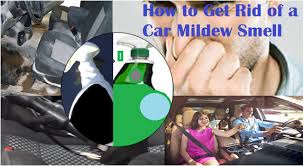 Downy® has fabric conditioner, wrinkleguard, dryer sheets, scent beads and more How To Rid Your Car Of Offensive Mildew And Rubber Floor Mat Odor By Fh Group Auto Medium