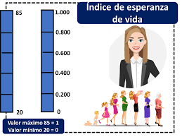 We did not find results for: Esperanza De Vida Que Es Definicion Y Concepto 2021 Economipedia