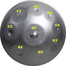 Amazon Com Handpan 9 Notes With Softcase And Cover 22 8 Inch 58cm D Minor Musical Instruments Djembe Drum Hand Drum Drum Instrument