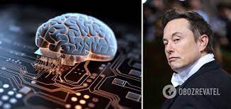Elon Musk's Neuralink allowed to implant a chip in the human brain: previous tests killed more than 1500 animals