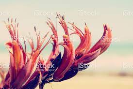 Pin On Royalty Free Stockphotos Available