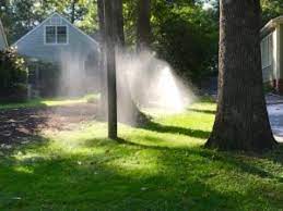 What you do now goes a long way toward safeguarding the health your grass, not only for the while on the surface your fall lawn may look a bit bedraggled, the roots below ground are still hard at work, storing up the reserves they'll need to. Don T Stop Watering Virginia Green