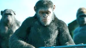 War For The Planet Of The Apes Wallpapers Hd Wallpapers Caesar In War For The Planet 1920x1080 Wallpaper Teahub Io Tons of awesome caesar planet of the apes wallpapers to download for free. apes wallpapers hd wallpapers caesar