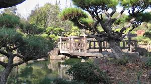 The japanese garden is a hidden gem where you can go for a secluded private walk. Japanese Gardens In Hayward Ca Youtube