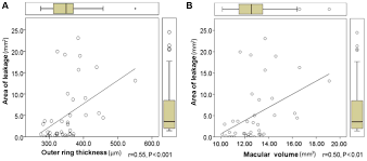 Pathophysiological Correlations Between Fundus Fluorescein