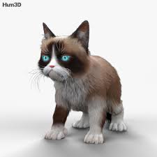 Grumpy Cat Hd 3d Model Animals On Hum3d