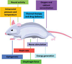 2020 popular 1 trends in tools, electronic components & supplies, home & garden, automobiles & motorcycles with acid detector and 1. Bioresorbable Materials On The Rise From Electronic Components And Physical Sensors To In Vivo Monitoring Systems La Mattina 2020 Advanced Science Wiley Online Library