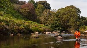 Fly fishing is a great way to connect with the outdoors and recharge no matter your experience. Fly Fishing For Beginners