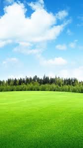 Fealds Sky Meadow Grass Iphone Wallpaper Beautiful Nature Pictures Hd Nature Wallpapers Nature Photography