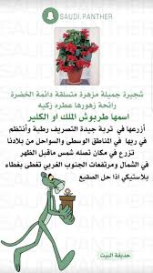 Pin By Hnoreen On Home Managment Unique Trees Garden Care Growing Plants