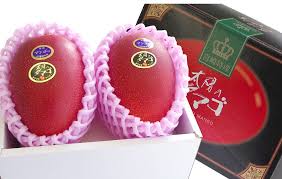 Miyazaki mangos, also known as egg of the sun (taiyo no tamago) is one of the most sought mangoes from japan. Zwei Mangos Fur 3450 Euro Asienspiegel