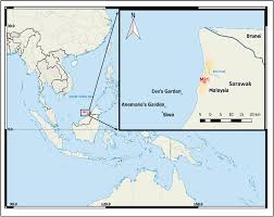 Tan kian huat fishery sdn bhd. Borneo Coral Reefs Subject To High Sediment Loads Show Evidence Of Resilience To Various Environmental Stressors Peerj