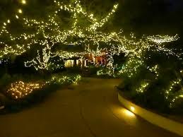Festival Of Lights At Tohono Chul Park Festival Lights Park Outdoor
