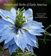 The ultimate love herb blend, casting herbs, ritual herbs, bath herbs. Flowers And Herbs Of Early America Draws You In With Love In A Mist Lewis Ginter Botanical Garden