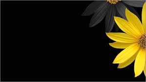 You can also upload and share your favorite yellow and black wallpapers. Devi Natarajan Prettyzdevi91 Profile Pinterest
