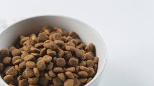 Nutrisource pet food has created high quality food that provides whole body nourishment for your beloved pets. Natural Balance Dog Food Reviews Coupons And Recalls 2021