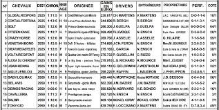 Pmu Mali Le Pari Mutuel Urbain Du Mali