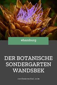Botanischer Sondergarten Wandsbek Hamburg Im Herbst Hamburg Hamburg Wandsbek Und Garten