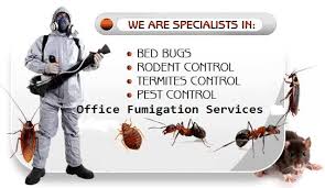 Read more about bed bugs and their life cycle, and get tips for identification. Pest Control Johannesburg 073 277 3618 Fumigation Services