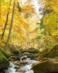 Nah, ini sekumpulan gambar wallpaper bagus yang sudah kami update buat kalian, maka dari itu lihat. Download Foto Pemandangan Alam 800x1000 Download Hd Wallpaper Wallpapertip