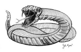 Free for commercial use no attribution required high quality images. Snake Drawing By John Keaton