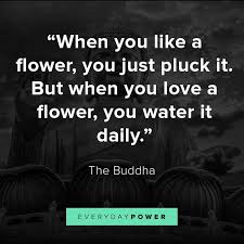 'believe nothing, no matter where you read it, or who said it ― buddha siddhartha guatama shakyamuni. Quotes To Relate Flowers To A Work Family 75 Buddha Quotes On Life Death Peace And Love 2019 Dogtrainingobedienceschool Com