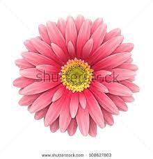 All daisy flower clip art are png format and transparent background. Daisy April Birth Flower Aster Flower Tattoos Birth Flower Tattoos Daisy Tattoo