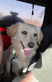 It's poor poor pitiful little Linda in front of her family's store in  Tucson! :)