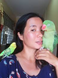 Wish was more Jojo and Gran Gran, moon and me shows. Little one loves them.