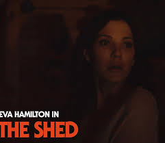 Life Between Frames: The Mooncats' The Shed