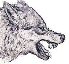 Pin By Trishtan Marie On Art Wolf Drawing Wolf Head Drawing Wolf Sketch
