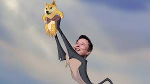 So können sie beispielsweise durch das mining selbst dogecoins schürfen oder sich durch die community die coins als belohnung verdienen. Promi Armee Fur Dogecoin Doge Wachst Snoop Dogg Etc Folgen Elon Musk Block Builders De
