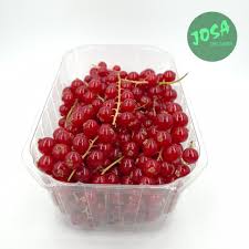De rode ibis is dit jaar. Rode Bessen Per Schaaltje 500g Josabox