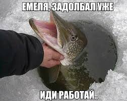 чем больше я узнаю людей тем больше я люблю собак Pin Ot Polzovatelya Anna Na Doske Smeshno Rybalka Podlyodnaya Rybalka Veselye Kartinki