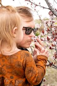 Free Persimmons in Cherry Valley