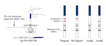 We did not find results for: Pregnancy Test Hcg Test Rapid Test Rapid Test Manufacturer Fertility Test