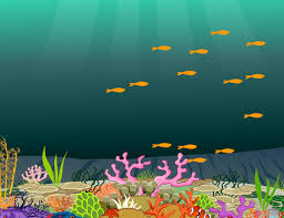 Science activities for 1st, 2nd, 3rd, 4th, 5th grades. Ocean Habitats Lesson Plans And Lesson Ideas Brainpop Educators