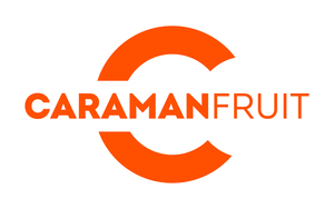 Société CARAMANFRUIT RHONE-ALPES à ANNEYRON (26140). Chiffre d'affaires, extrait Kbis, bénéfice, statuts, extrait RNE, bilans, actionnaires, valeur, valorisation - 444603039
