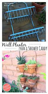 Once plants are securely rooted―this takes between 4 and 12 weeks―display your succulent wall planter upright in an area that gets morning or filtered sun. 33 Diy Indoor And Outdoor Succulent Planter Ideas To Bring A Fresh Green Touch Anywhere The Trending House