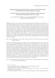 Image result for Cyathea mildbraedii