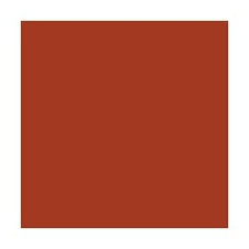 Pin By Lyndsey Thiessen On Birch Rust Color Paint Orange Paint Colors Decor Color Palette