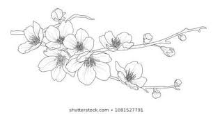 Il fiore di pesco è un genere di fiore della famiglia del prunus. 45 Idee Su Fiori Di Pesco Nel 2021 Fiori Di Pesco Fiori Idee Per Tatuaggi