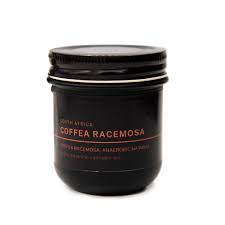 Image result for Coffea racemosa