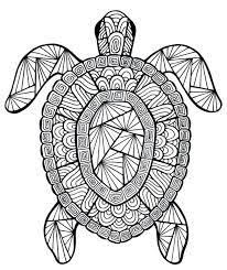 Als je een leeuw in het wild wil zien dan kun je het beste naar afrika. Afbeeldingsresultaat Voor Mandala Mandala Kleurplaten Kleurplaten Schildpad Tekening
