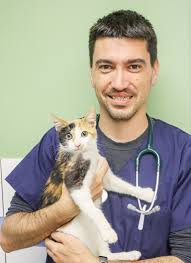 Meet the Bellville Team