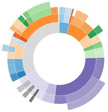 sunburst chart d3 google search a visualization data