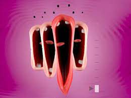 Virtual choir | 5 weird games. Adult Swim Choir Offers A Goofy Interactive Take On Virtual Singing